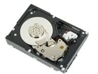 Dell Nearline - Hard drive