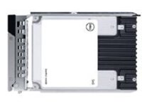 Dell - Customer Kit - SSD
