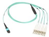 Dell Networking MPO Type B Crossover Cable Customer kit