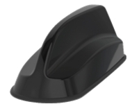 Panorama Sharkee - Antenna