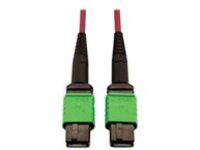 Eaton Tripp Lite Series 400G Multimode 50/125 OM4 Plenum-Rated Fiber Optic Cable, 16F MTP/MPO-APC (F/F), Magenta, 3 m
