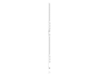 Server Technology PRO2 Switched POPS C2XG36TE-DFME2M66
