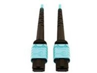 Eaton Tripp Lite Series 400G Multimode 50/125 OM4 Plenum-Rated Fiber Optic Cable, 24F MTP/MPO-PC (F/F), Aqua, 10 m