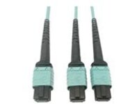 Eaton Tripp Lite Series 400G Multimode 50/125 OM4 Plenum Fiber Optic Cable, 24F MTP/MPO-PC to (x2) 12F MTP/MPO-PC (F/F), Aqua, 3 m