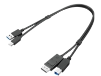 Lenovo Dual Head - Display / USB cable kit