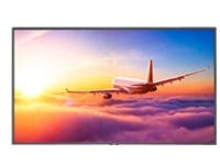 NEC MultiSync P495 - 49&quot; Diagonal Class P Series LED-backlit LCD display