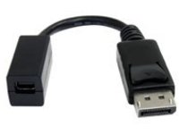StarTech.com 6in DisplayPort to Mini DisplayPort Video Cable Adapter (DP2MDPMF6IN) - DisplayPort adapter - 15.2 cm