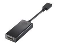 HP - Video interface converter