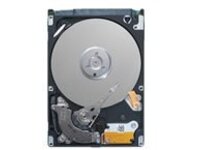 Dell - Hard drive - 12 TB