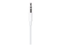 Apple Lightning to 3.5mm Audio Cable