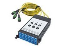 Tripp Lite Fiber Breakout Cassette w/Built-In MTP Cables, 9/125 40 GB to 10 GB, (x3) 8-Fiber Singlemode MTP/MPO to (x12) LC Duplex