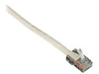 Black Box Connect - Patch cable