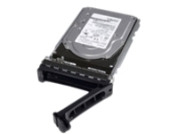 Dell - Hard drive - 18 TB