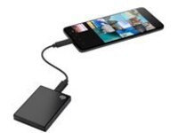 Seagate One Touch SSD STKG1000401