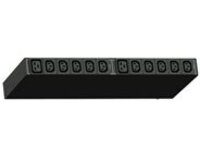 Raritan PX3-5288R - Power distribution unit (rack-mountable)