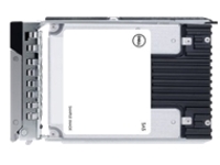 1.92TB SSD SAS RI 12GBPS 512E 2.5IN HOT-PLUG PM6 1 DWPD CUS