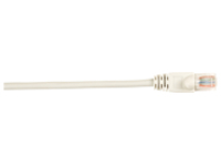 Black Box Connect - Patch cable