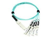 Axiom AX - 100GBase-AOC direct attach cable