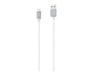 iStore - Lightning cable
