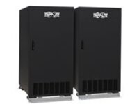 Tripp Lite Battery Pack 3-Phase UPS &#x2B;/-120VDC 2 Cabinet Batteries Included