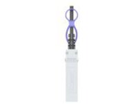 Panduit 10Gig - 10GBase direct attach cable