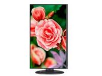 NEC MultiSync E273F-BK