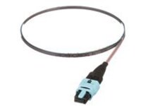 Panduit QuickNet PanMPO/MPO Ribbon Pigtail Assembly