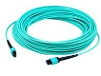 AddOn - Patch cable - MPO/PC multi-mode (F) to MPO/PC multi-mode (F)