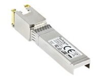 StarTech.com MSA Uncoded SFP+ Module