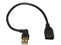 Tripp Lite 10in USB Extension Cable A/A USB-A Male / Female 10"