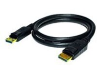 Weltron - DisplayPort cable