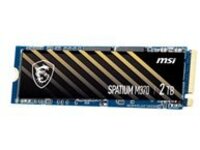 MSI SPATIUM M370 - SSD