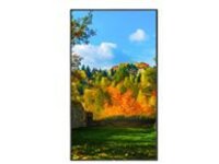 NEC MultiSync M551-PT