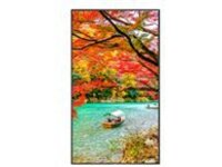 NEC MultiSync MA431-IR