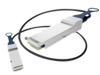 Dell - 25GBase direct attach cable