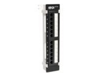 Tripp Lite 12-Port Cat5e Cat5 Wall Mount Patch Panel 568B 110 Punch TAA