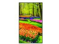 NEC MultiSync M431-IR