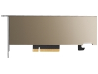 NVIDIA A2 - GPU computing processor