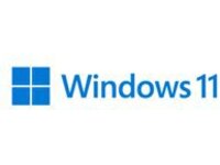 Windows 11 Pro - License