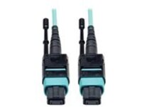 Tripp Lite 1M MTP / MPO Fiber Optic Patch Cable w/ Push Pull Tabs 12 Fiber 40Gbe OM3 Plenum Aqua 3' 3ft 1 Meter
