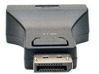 Tripp Lite DisplayPort to DVI Adapter Converter Compact DP to DVI M/F DPort 1.2