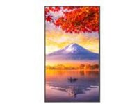 NEC MultiSync ME431-PT