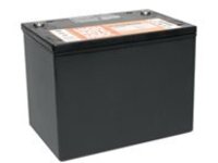 Tripp Lite 12V 75 AH Sealed Maintenance-Free Battery for Inverter / Charger