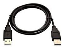 V7 - USB cable - USB (M) to USB (M)