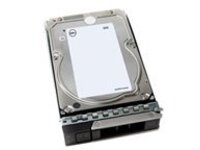 Dell - Custom Kit - hard drive