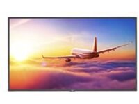 NEC MultiSync P495-PT