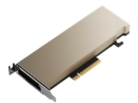 NVIDIA A2 - GPU computing processor