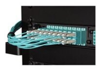 Black Box Premium - Patch cable