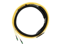 Panduit - Trunk cable