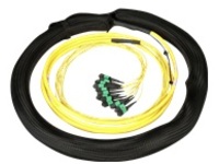 Panduit - Trunk cable